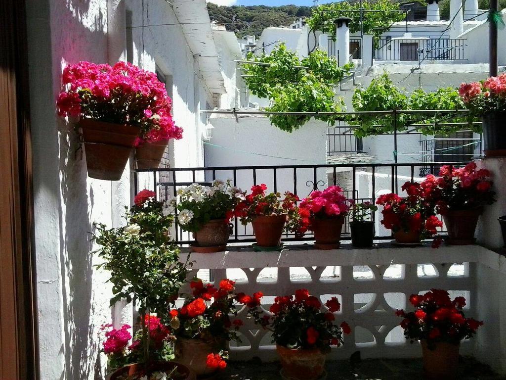Holiday home Casa El Porton *